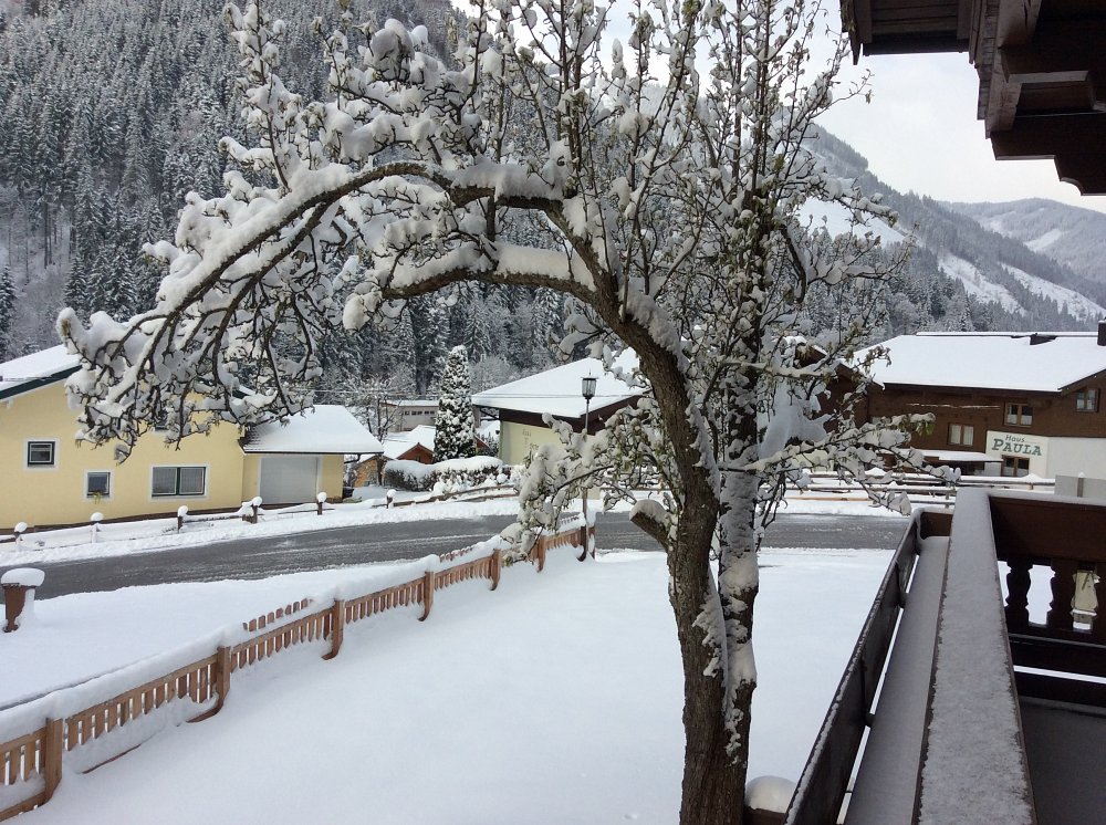 Souht facing balcony & Village view